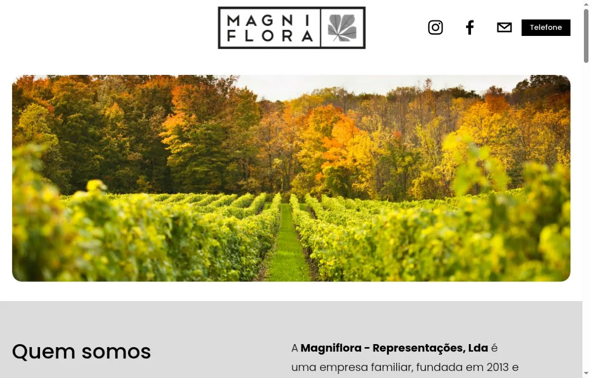 Первый экран сайта Magniflora